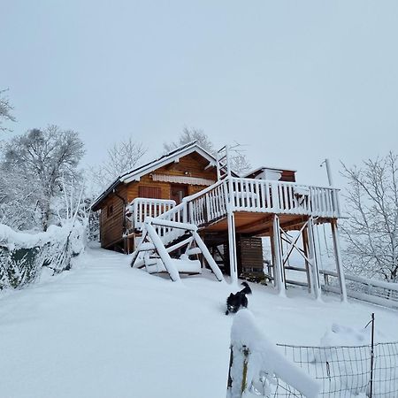 Gnezdo Vid-Ik Catez ob Savi Exterior foto