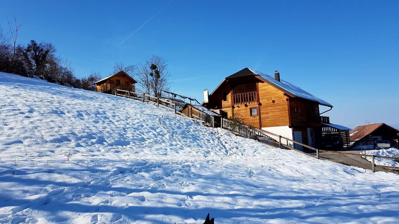 Gnezdo Vid-Ik Catez ob Savi Exterior foto