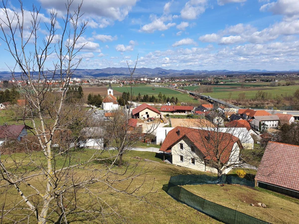 Gnezdo Vid-Ik Catez ob Savi Exterior foto
