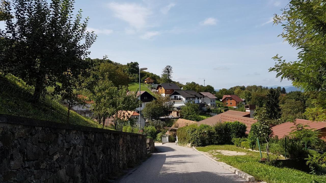 Gnezdo Vid-Ik Catez ob Savi Exterior foto