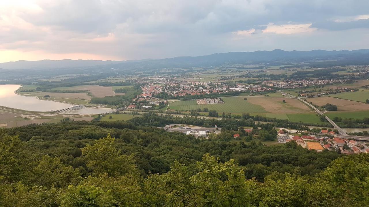 Gnezdo Vid-Ik Catez ob Savi Exterior foto
